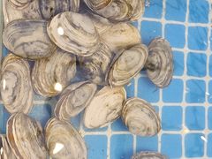 -集品鲜湾·蒸汽海鲜自助料理(青岛银座和谐广场店)