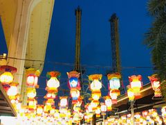 -锦江乐园舞狸花花游园会(夜场专享)