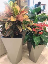 -北京米扬丽格医疗美容·联合丽格鼻整形中心