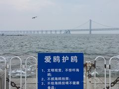 -星海广场