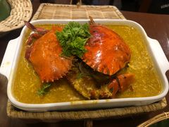 -茉莉.Red Crab