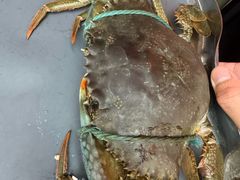 -Ministry of Crab•MOC(交子大道店)