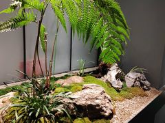 -望京辣宴·古法川菜(望京店)