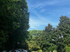 -棕榈岛海鲜自助餐厅(虹桥迎宾馆店)