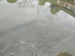 -洪湖家庭农场·团建·露营·会议