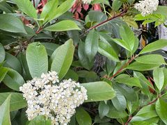 -玄武湖景区-情侣园游乐场