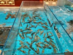 -艳阳天·非遗楚菜(武汉客厅店)