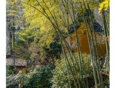 -灵隐飞来峰景区
