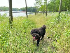 -上海海湾国家森林公园