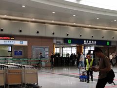 -上海机场-城市航站楼