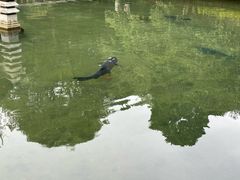 -杭州植物园