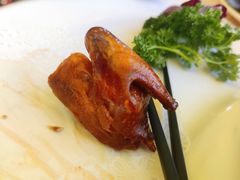 吊烧妙龄乳鸽-桃源阁(西樵山店)