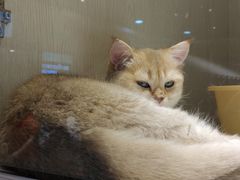 -乐宠宠物店(世纪金源店)