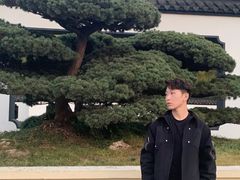 -盆景园(扬州大运河文化旅游度假区)
