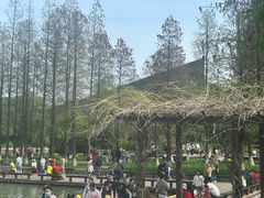 -圩墩遗址公园