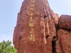 -黄河故道国家森林公园