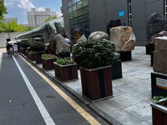 -河南自然博物馆