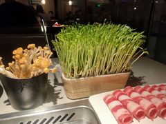 -海底捞大排档火锅(悦荟广场店)