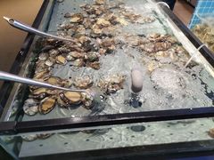 -海天盛宴潮汕蒸汽海鲜高端自助形象店