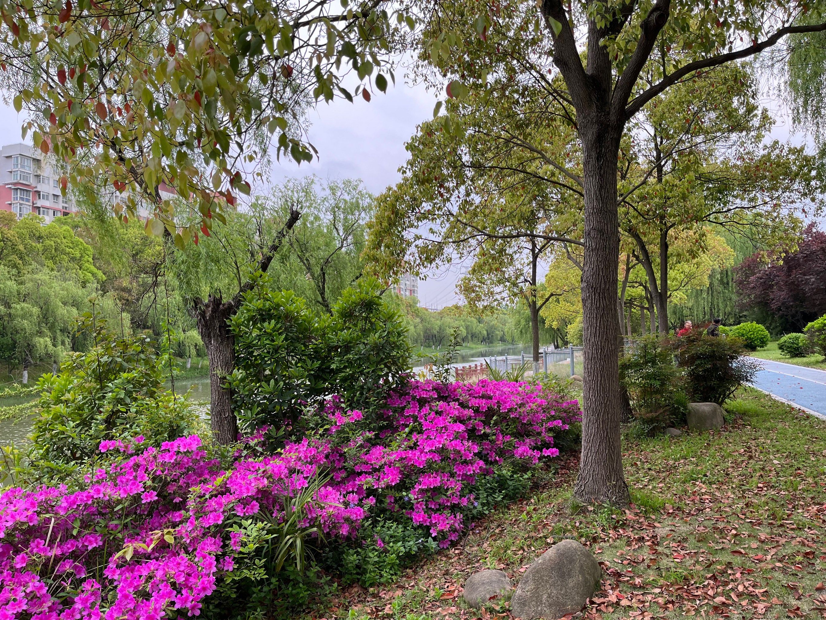 安利春申塘沿河绿地