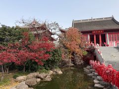 -小潘记鸭血粉丝汤