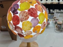 -青岛贝壳博物馆