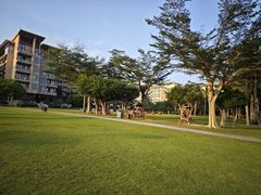 -三亚亚龙湾红树林度假酒店