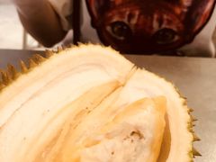 -都念榴莲·城市榴莲