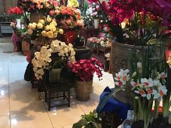 -宝鸡东道花鸟鱼虫市场(吉利花园商场店)