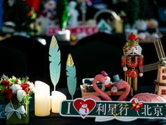 -奔驰利星行(北京花乡店)