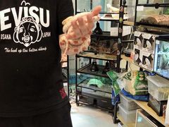 -乌龙爬宠部落(信和购物广场店)