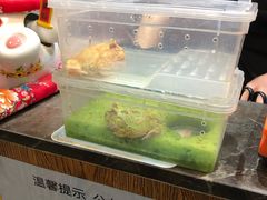 -蛙麻蛙辣炭火蛙锅(南环大街店)