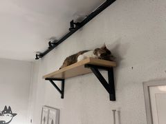 -隅cafe(傅厚岗店)