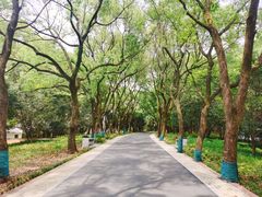 景点-东湖落雁景区