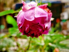 -艾加柒克蛋糕茶歇甜品台(春熙路店)