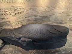 -白鹤梁水下博物馆