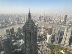 -上海柏悦酒店·世纪100牛排馆