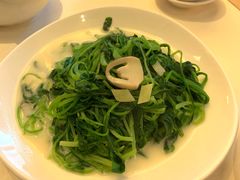 浓鸡汤浸春菜苗-利苑酒家(合景国际金融广场店)