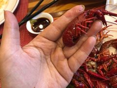 -南京维景国际大酒店咖啡厅