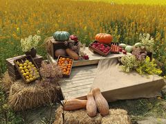 -中国天府农业博览园