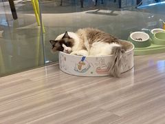 -嘉亿台球俱乐部(观前店)