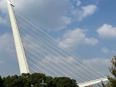 -迪卡侬(雨花店)