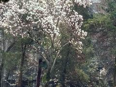 -南京航空航天大学(明故宫校区)