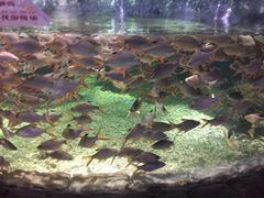 -多彩贵州城极地海洋世界