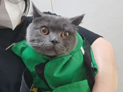 -关爱动物医院·心脏·中兽医·异宠(金牛路分院)