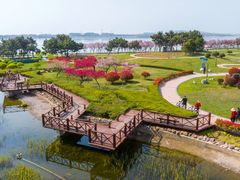 -上海海湾国家森林公园