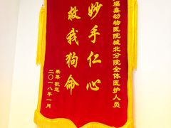 -宠福鑫动物医院(城北分院)