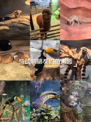 -Zoolung Zoolung动物主题公园(海信广场店)