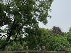 -苏州上方山国家森林公园