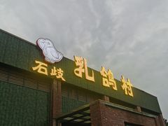 -石岐乳鸽村(南海第三分店)